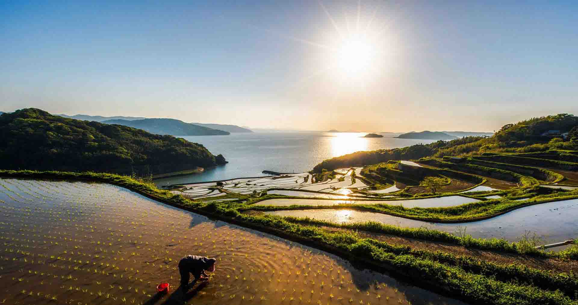 生态环境部张大伟：VOCs治理已成为大气领域明显短板，主要治理措施有哪些？